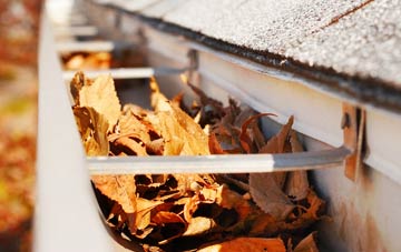 Swining gutter cleaning companies