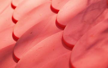 Swining plastic roof costs