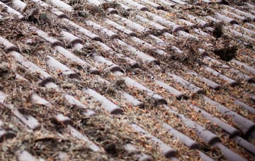 Swining roof cleaning companies