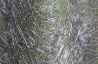 Swining fibreglass roof work