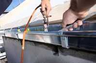 free Swining fascia quotes