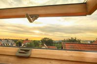 rated Swining roof window companies